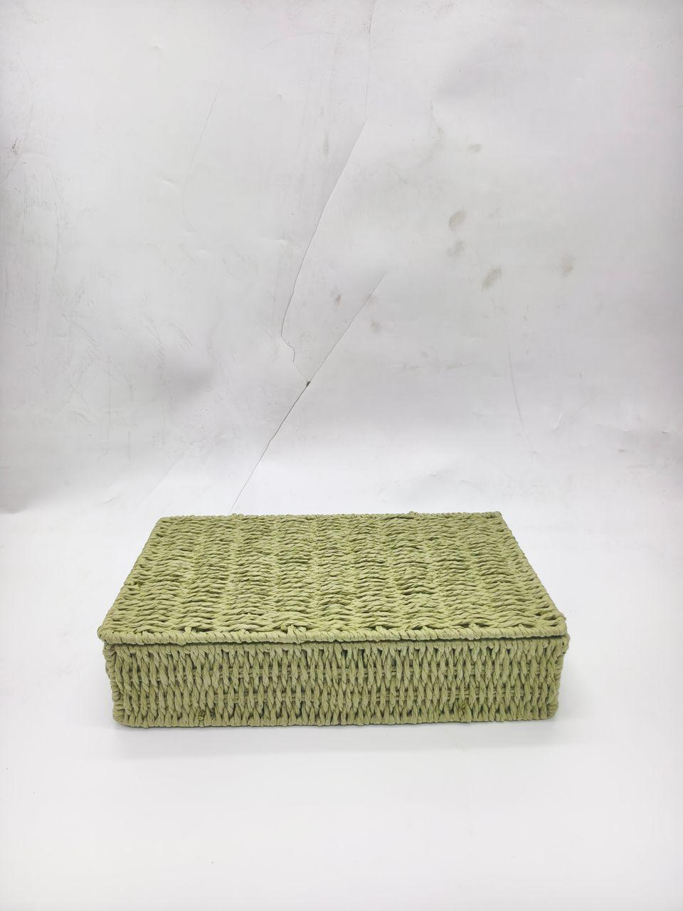 Natural Rafia Square Box (Green)