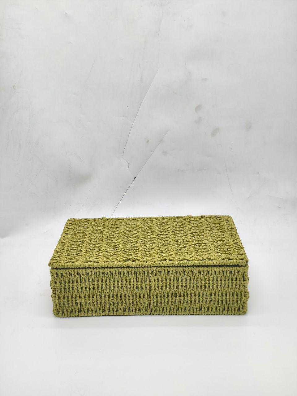 Natural Rafia Square Box (Green)