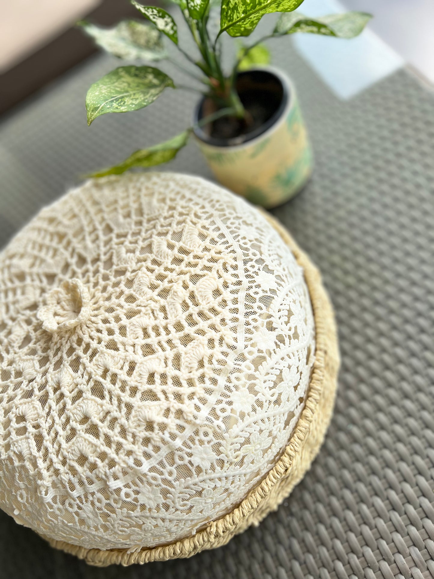 Lace Cake Cover (12 inch)